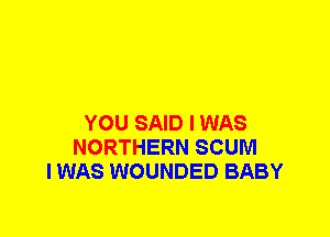 YOU SAID I WAS
NORTHERN SCUM
I WAS WOUNDED BABY