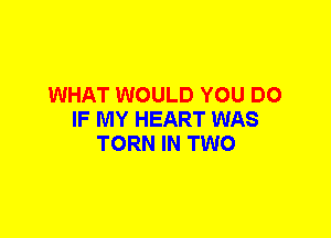 WHAT WOULD YOU DO
IF MY HEART WAS
TORN IN TWO