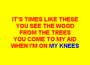 IT'S TIMES LIKE THESE
YOU SEE THE WOOD
FROM THE TREES
YOU COME TO MY AID
WHEN I'M ON MY KNEES
