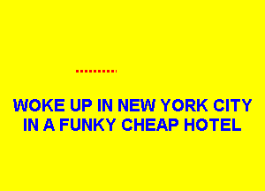 WOKE UP IN NEW YORK CITY
IN A FUNKY CHEAP HOTEL