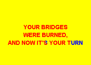 YOUR BRIDGES
WERE BURNED,
AND NOW IT'S YOUR TURN