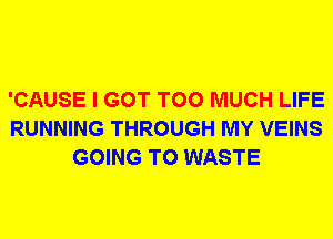 'CAUSE I GOT TOO MUCH LIFE
RUNNING THROUGH MY VEINS
GOING TO WASTE