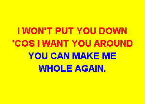 I WON'T PUT YOU DOWN
'COS I WANT YOU AROUND
YOU CAN MAKE ME
WHOLE AGAIN.