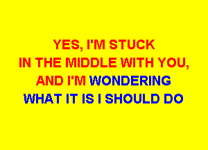 YES, I'M STUCK
IN THE MIDDLE WITH YOU,
AND I'M WONDERING
WHAT IT IS I SHOULD DO