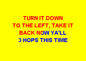 TURN IT DOWN
TO THE LEFT, TAKE IT
BACK NOW YA'LL
3 HOPS THIS TIME