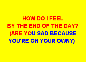 HOW DO I FEEL
BY THE END OF THE DAY?
(ARE YOU SAD BECAUSE
YOU'RE ON YOUR OWN?)