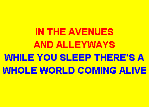 IN THE AVENUES

AND ALLEYWAYS
WHILE YOU SLEEP THERE'S A
WHOLE WORLD COMING ALIVE