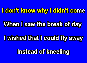 I don't know why I didn't come
When I saw the break of day
I wished that I could fly away

Instead of kneeling