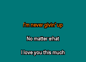 I'm never givin' up

No matterwhat

llove you this much