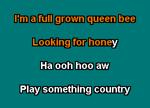 I'm a full grown queen bee
Looking for honey

Ha ooh hoo aw

Play something country