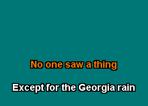 No one saw a thing

Except for the Georgia rain