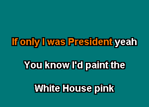 If only I was President yeah

You know I'd paint the

White House pink