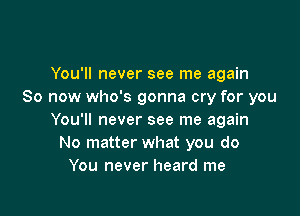 You'll never see me again
So now who's gonna cry for you

You'll never see me again
No matter what you do
You never heard me