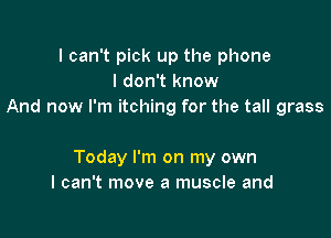 I can't pick up the phone
I don't know
And now I'm itching for the tall grass

Today I'm on my own
I can't move a muscle and