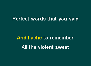 Perfect words that you said

And I ache to remember

All the violent sweet