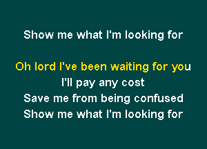 Show me what I'm looking for

0h lord I've been waiting for you
I'll pay any cost
Save me from being confused
Show me what I'm looking for