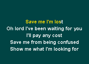 Save me I'm lost
Oh lord I've been waiting for you

I'll pay any cost
Save me from being confused
Show me what I'm looking for