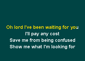 Oh lord I've been waiting for you

I'll pay any cost
Save me from being confused
Show me what I'm looking for