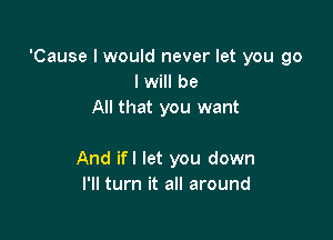 'Cause I would never let you go
I will be
All that you want

And ifl let you down
I'll turn it all around