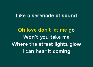 Like a serenade of sound

Oh love don t let me go

Won't you take me
Where the street lights glow
I can hear it coming