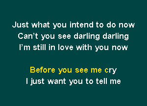 Just what you intend to do now
Canot you see darling darling
Pm still in love with you now

Before you see me cry
ljust want you to tell me