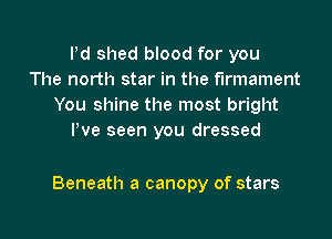 Pd shed blood for you
The north star in the firmament
You shine the most bright
I've seen you dressed

Beneath a canopy of stars