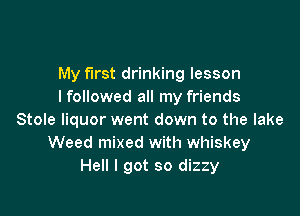 My first drinking lesson
lfollowed all my friends

Stole liquor went down to the lake
Weed mixed with whiskey
Hell I got so dizzy