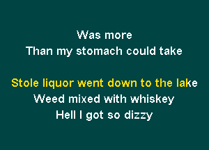 Was more
Than my stomach could take

Stole liquor went down to the lake
Weed mixed with whiskey
Hell I got so dizzy