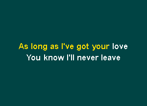 As long as I've got your love

You know I'll never leave