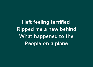 I left feeling terrified
Ripped me a new behind

What happened to the
People on a plane