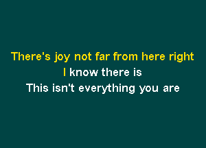 There's joy not far from here right
I know there is

This isn't everything you are