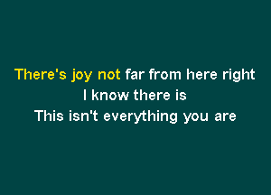 There's joy not far from here right
I know there is

This isn't everything you are