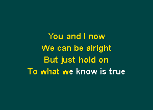 You and I now
We can be alright

But just hold on
To what we know is true