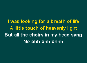 l was looking for a breath of life
A little touch of heavenly light

But all the choirs in my head sang
No ohh ohh ohhh