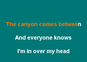 The canyon comes between

And everyone knows

I'm in over my head