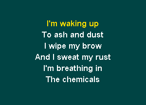 I'm waking up
To ash and dust
I wipe my brow

And I sweat my rust
I'm breathing in
The chemicals