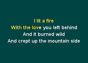 I lit a fire
With the love you left behind

And it burned wild
And crept up the mountain side