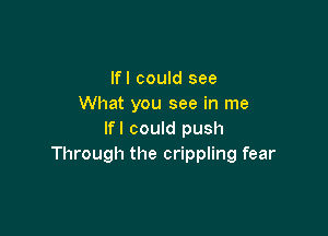 lfl could see
What you see in me

lfl could push
Through the crippling fear