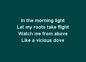 In the morning light
Let my roots take flight

Watch me from above
Like a vicious dove