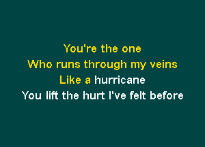 You're the one
Who runs through my veins

Like a hurricane
You lift the hurt I've felt before