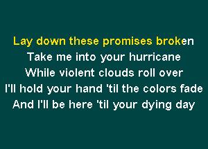Lay down these promises broken
Take me into your hurricane
While violent clouds roll over

I'll hold your hand 'til the colors fade

And I'll be here 'til your dying day