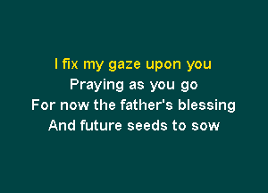 I fix my gaze upon you
Praying as you go

For now the father's blessing
And future seeds to sow