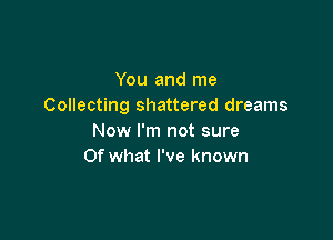 You and me
Collecting shattered dreams

Now I'm not sure
Of what I've known