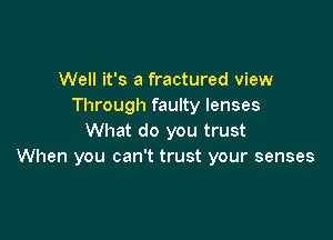 Well it's a fractured view
Through faulty lenses

What do you trust
When you can't trust your senses