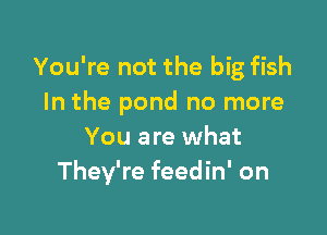 You're not the big fish
In the pond no more

You are what
They're feedin' on