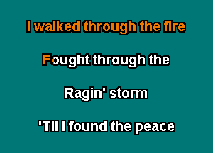 I walked through the fire
Fought through the

Ragin' storm

'Til I found the peace