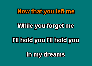 Now that you left me

While you forget me

I'll hold you I'll hold you

In my dreams