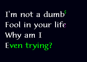 I'm not a dumb2
Fool in your life

Why am I
Even trying?