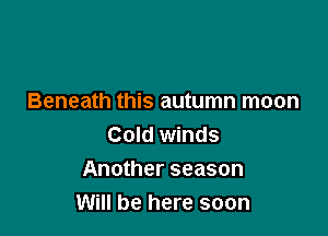 Beneath this autumn moon

Cold winds
Another season
Will be here soon