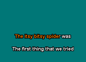 The itsy bitsy spider was

The first thing that we tried